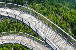 爱游戏ayx-“飞盘：三叉湖赛场飞扬，速度与技巧成就精彩”  第2张